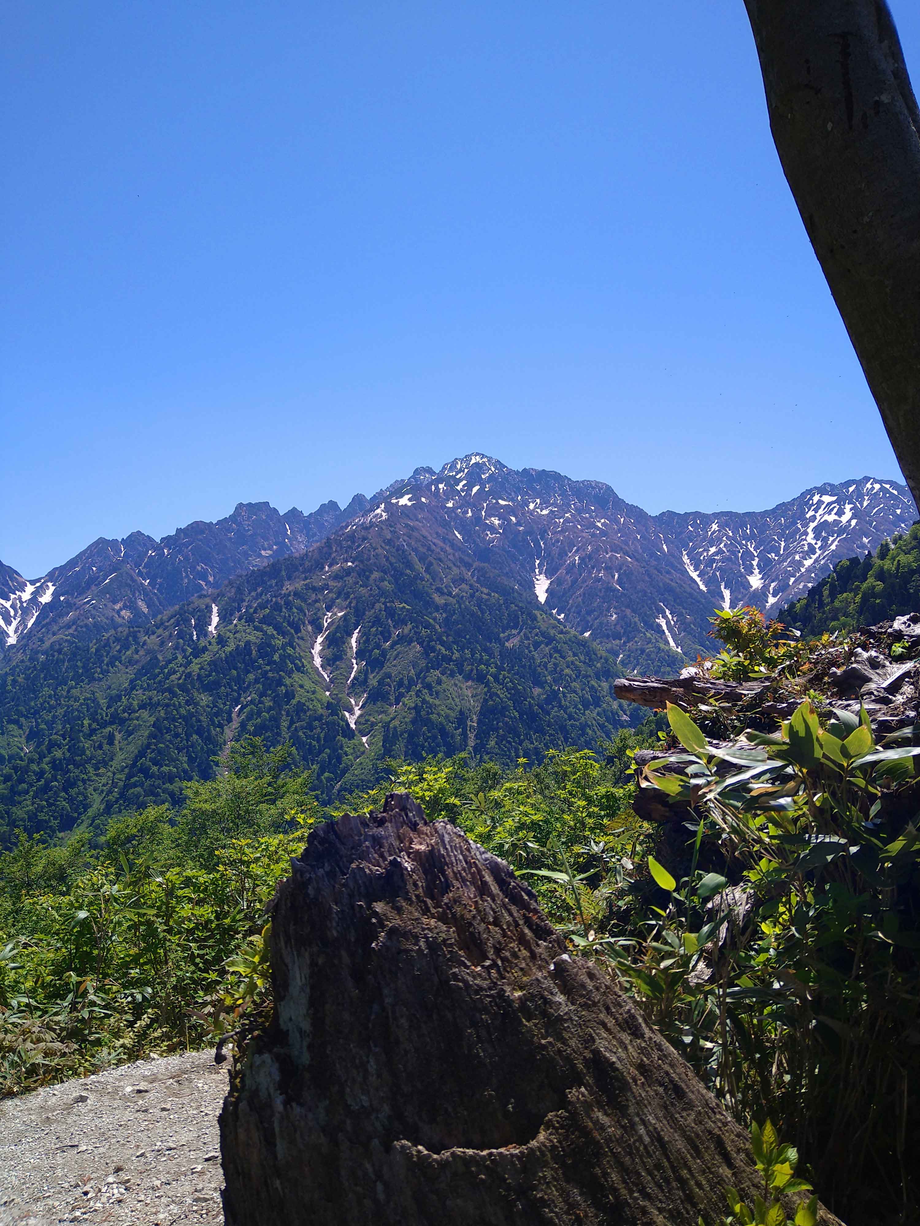 新緑の中山登山 開催までの画像