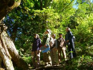 上市ちょっぴり山あるき（城ケ平山・千石城山など）の画像2