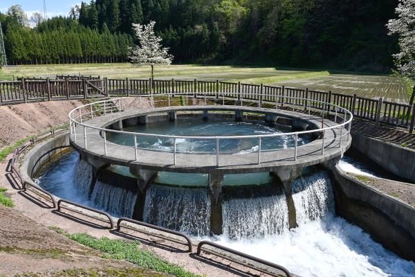 釈泉寺円筒分水槽の画像2