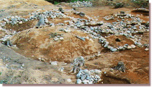 黒川上山古墓群の画像