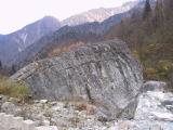 立山川の菊石