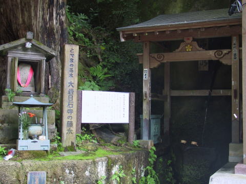 大岩山日石寺の藤水の画像