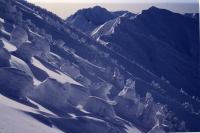 ​樹氷と剱岳の画像3