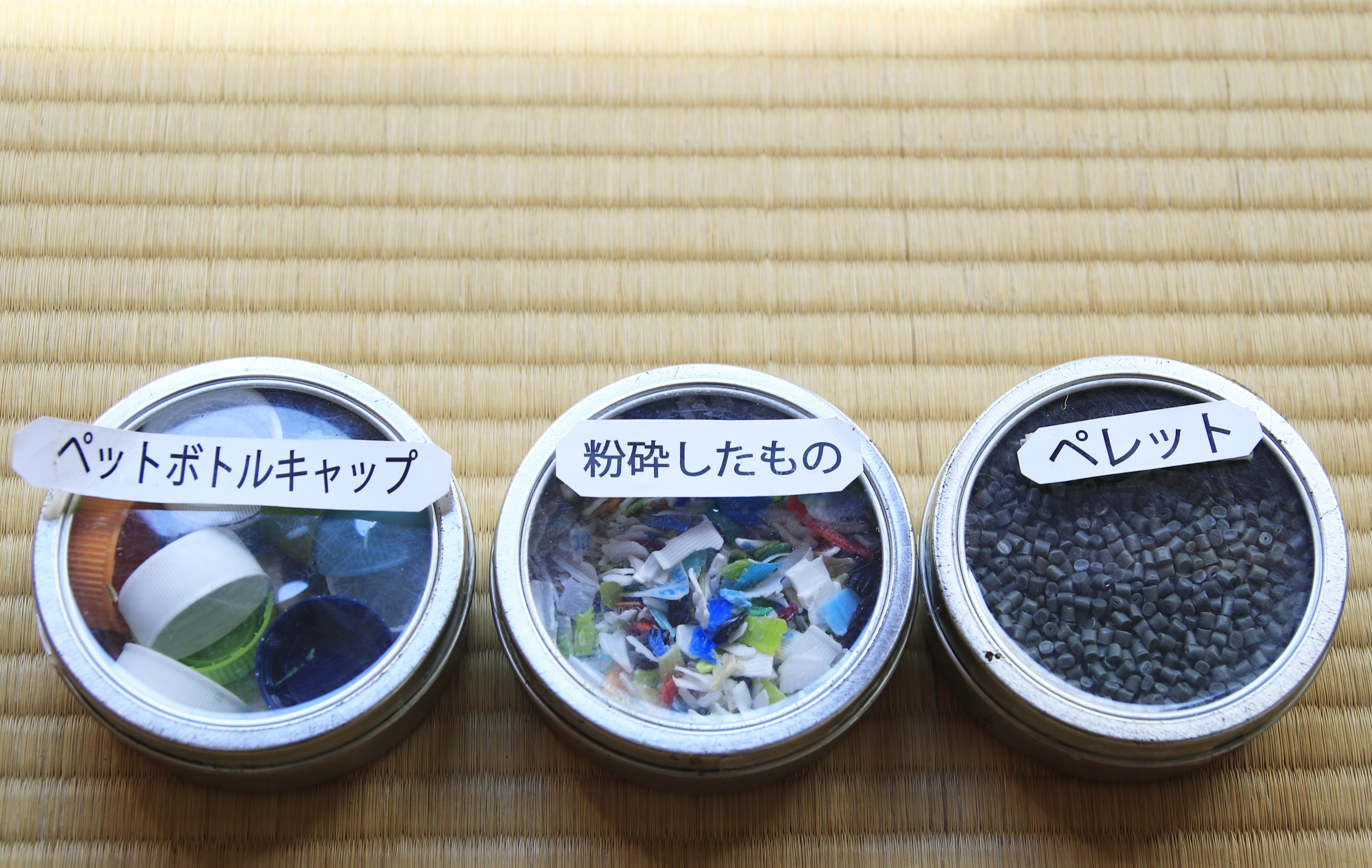 エコフラポット過程