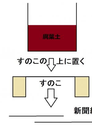 すのこに段ボールを載せる