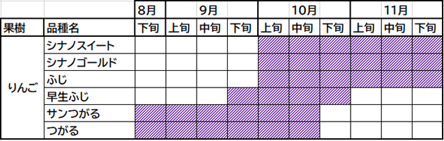 りんご