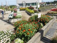花と緑の銀行上市支店