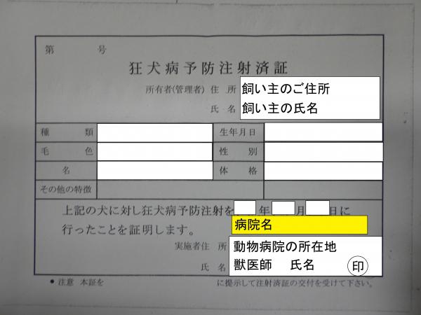 病院でもらう予防接種済、しょう