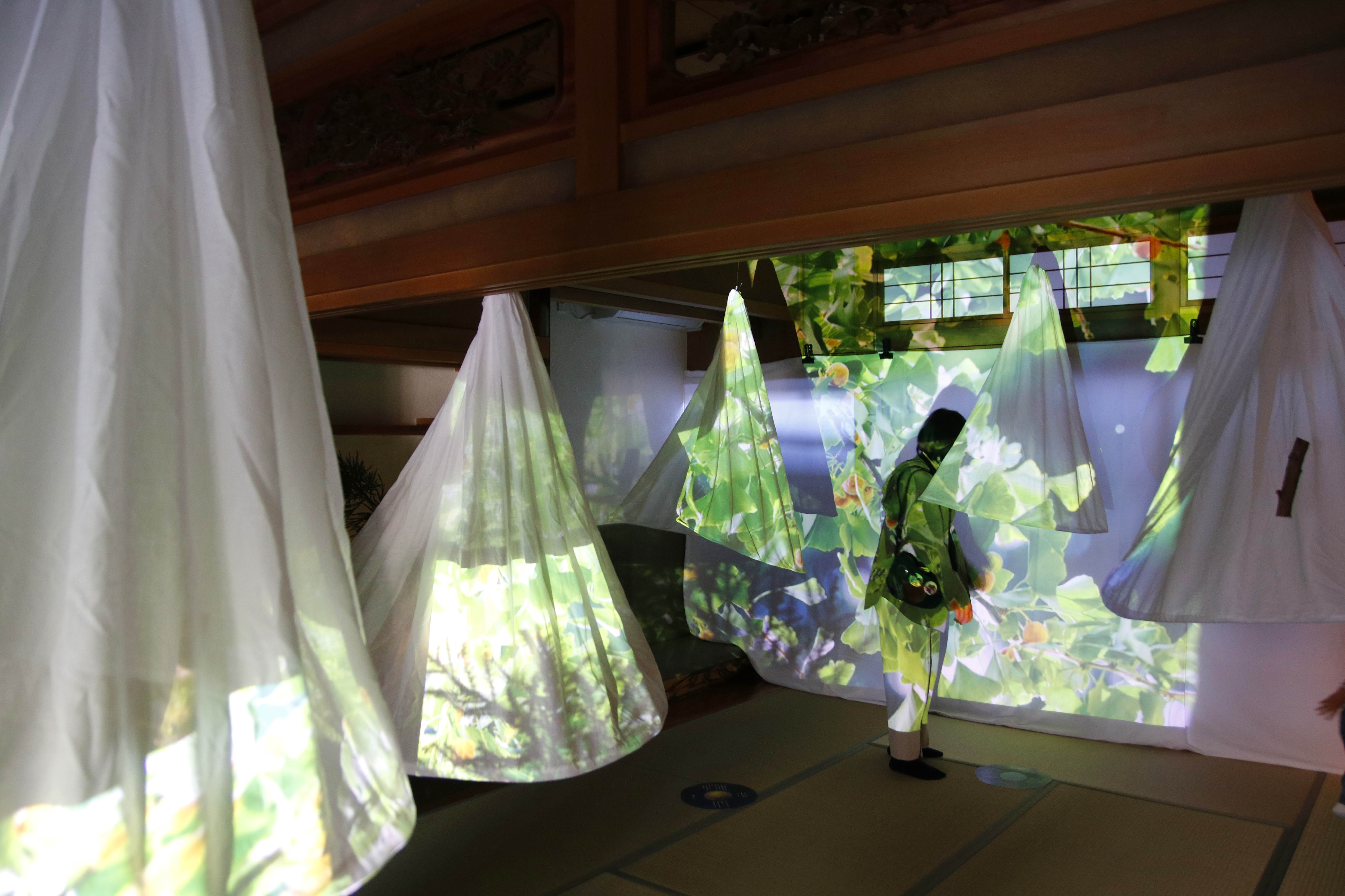 香り展示