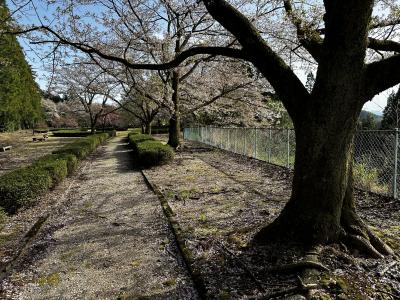 園路1