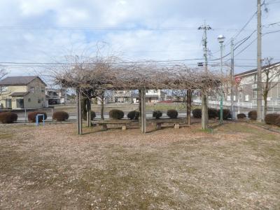 若杉新公園パーゴラ