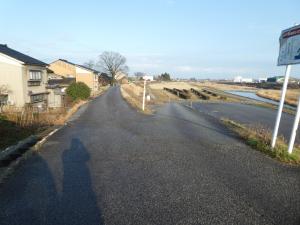 上市川緑地駐車場アプローチ