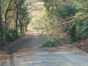 林道大観峰線立山町近くでは道路の3分の2がふさがれているため注意