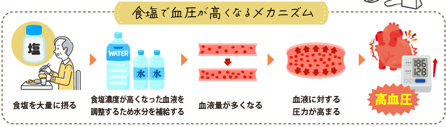 食塩で血圧が高くなるメカニズム