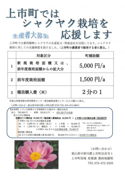 シャクヤク・チラシの画像