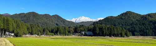 Tane_Tsurugi
