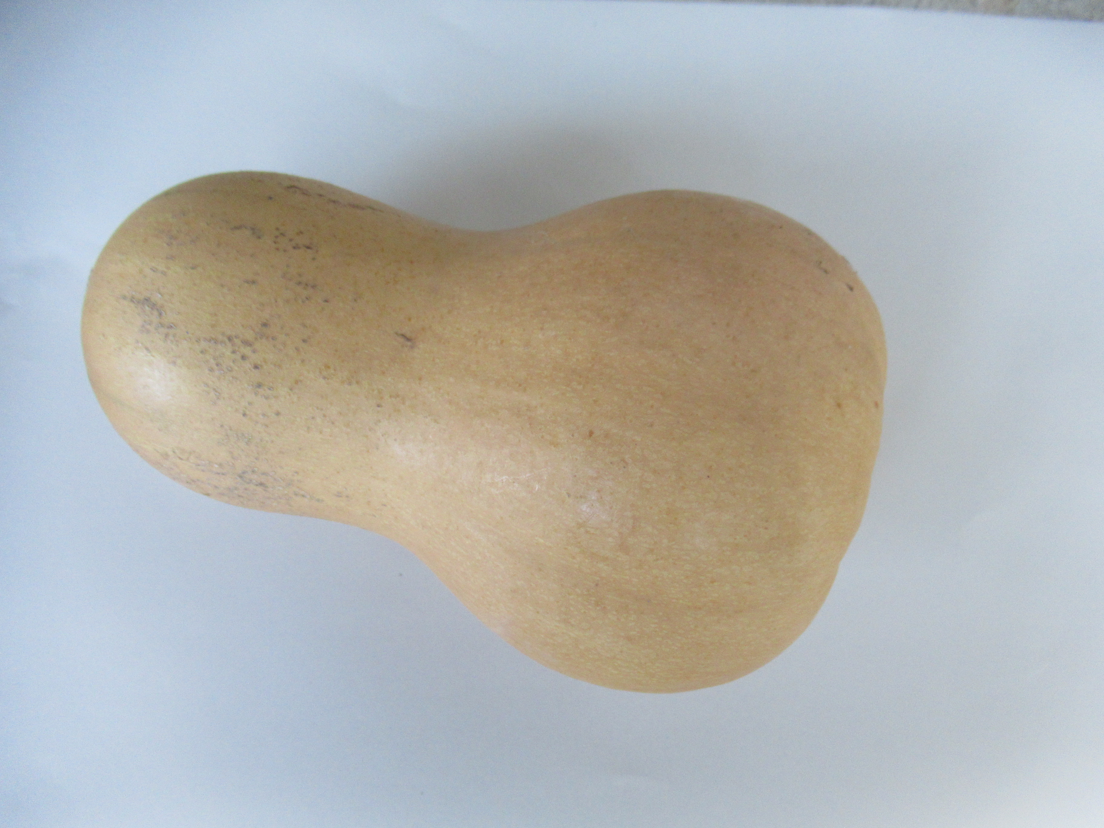 バターナッツかぼちゃ