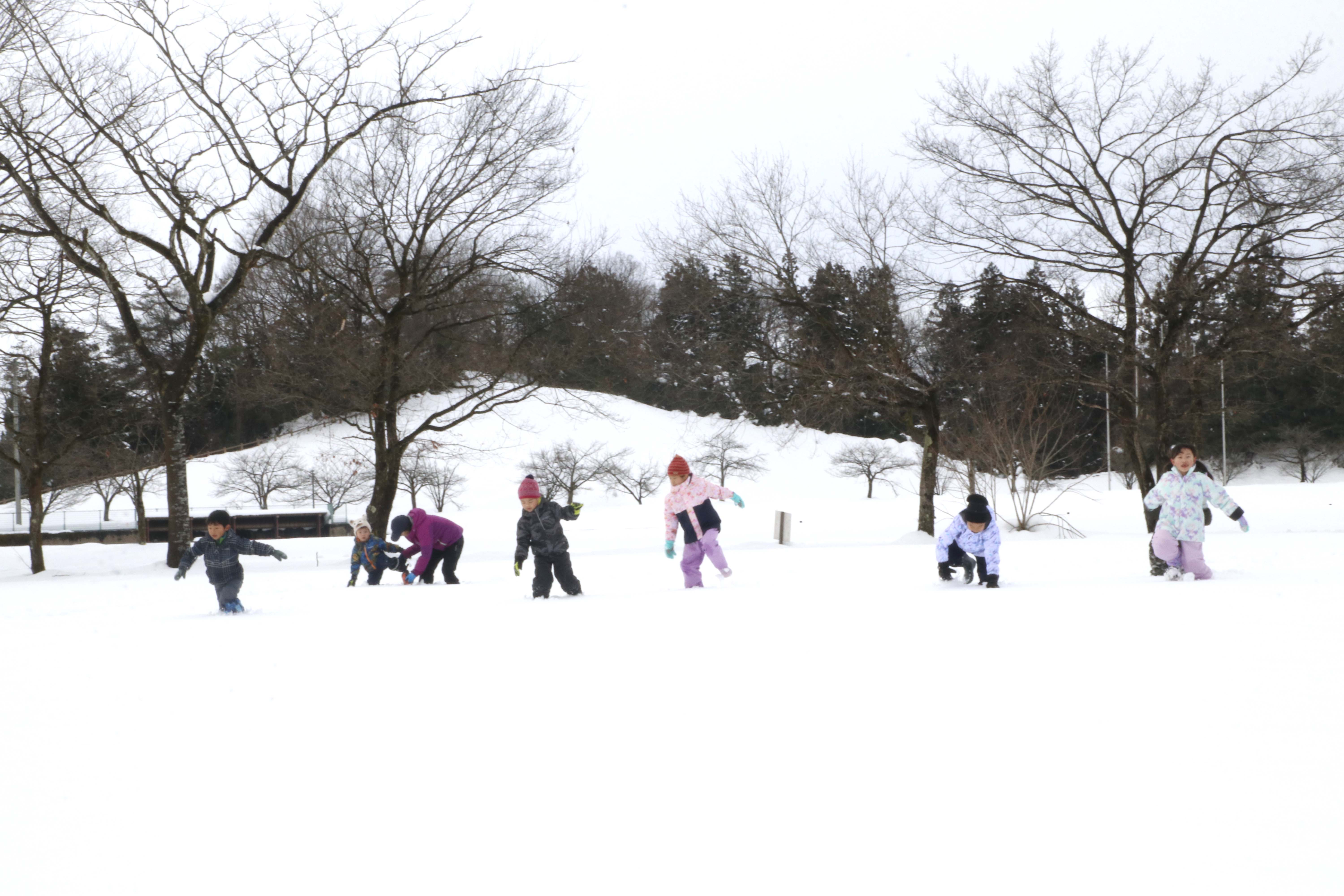 スノーフラッグ