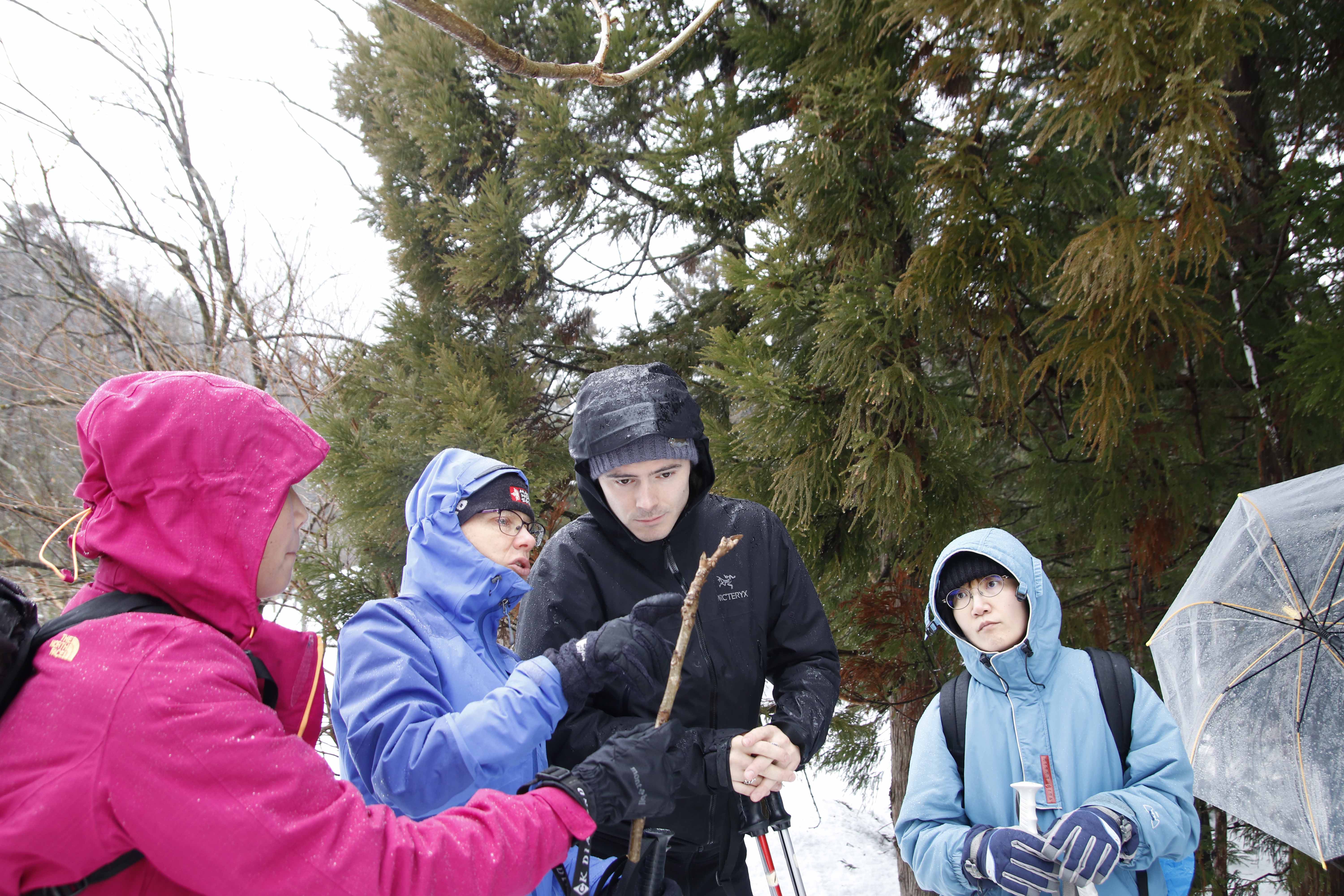 植物を見る様子