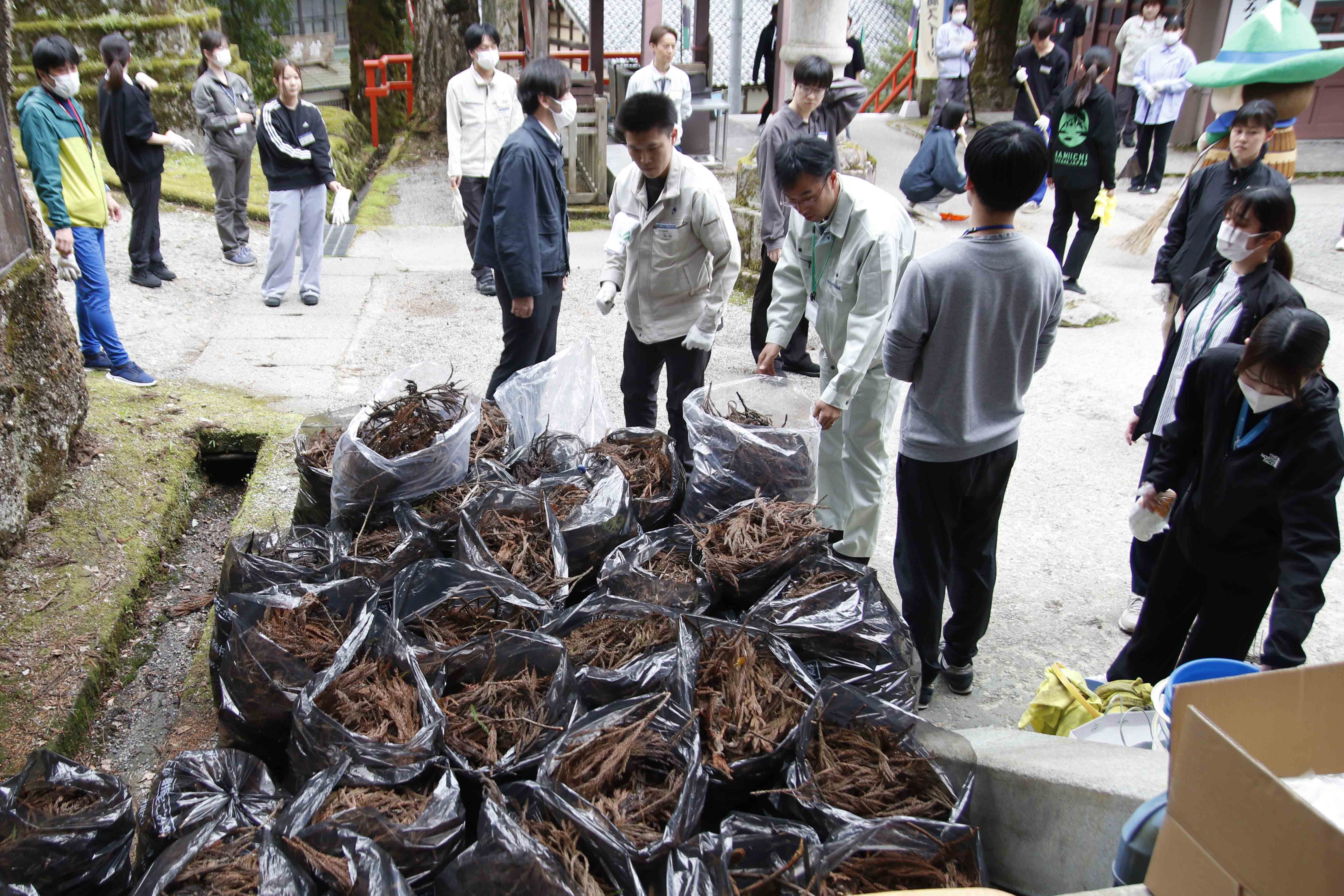 枯れ木などのごみ