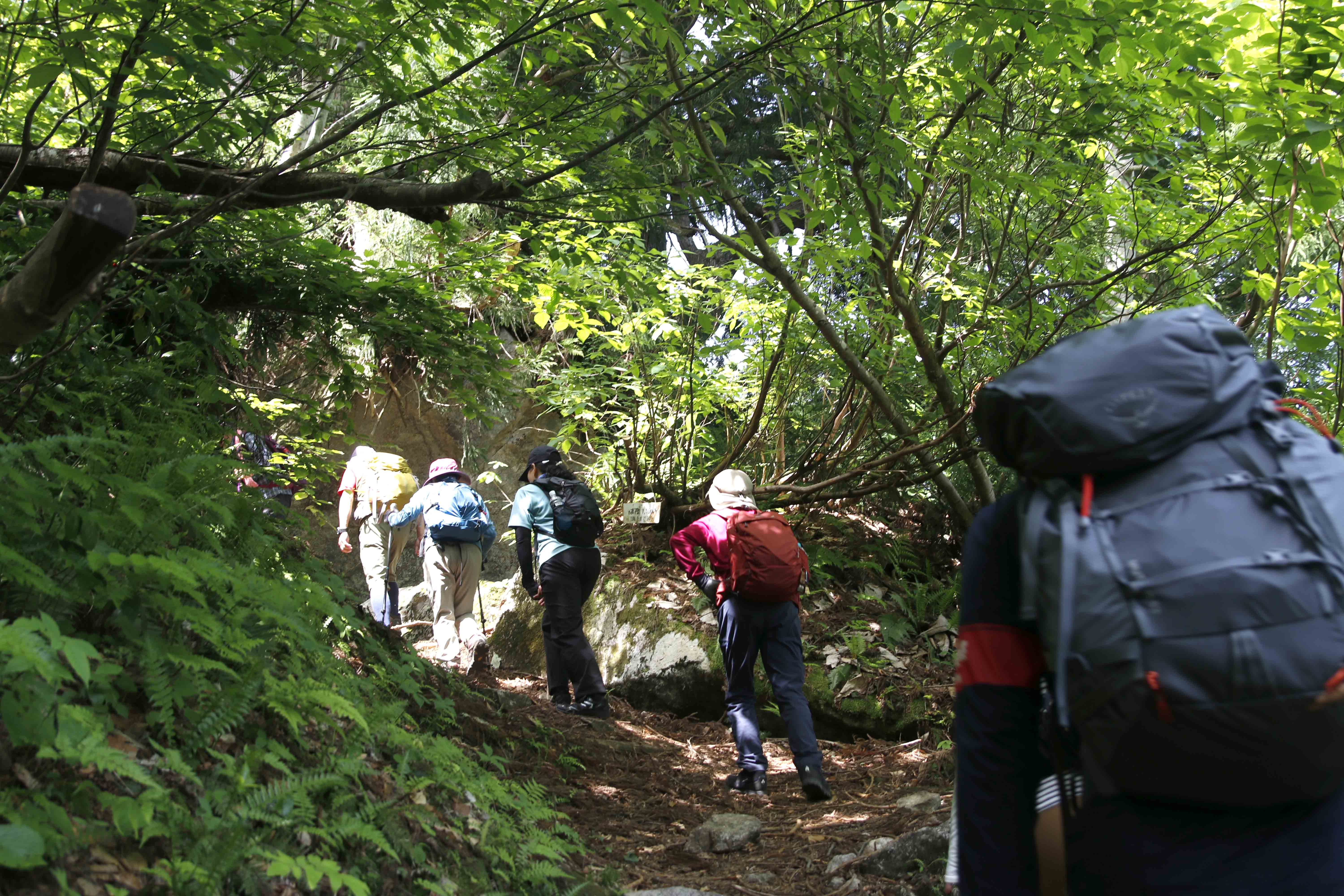 中山登山